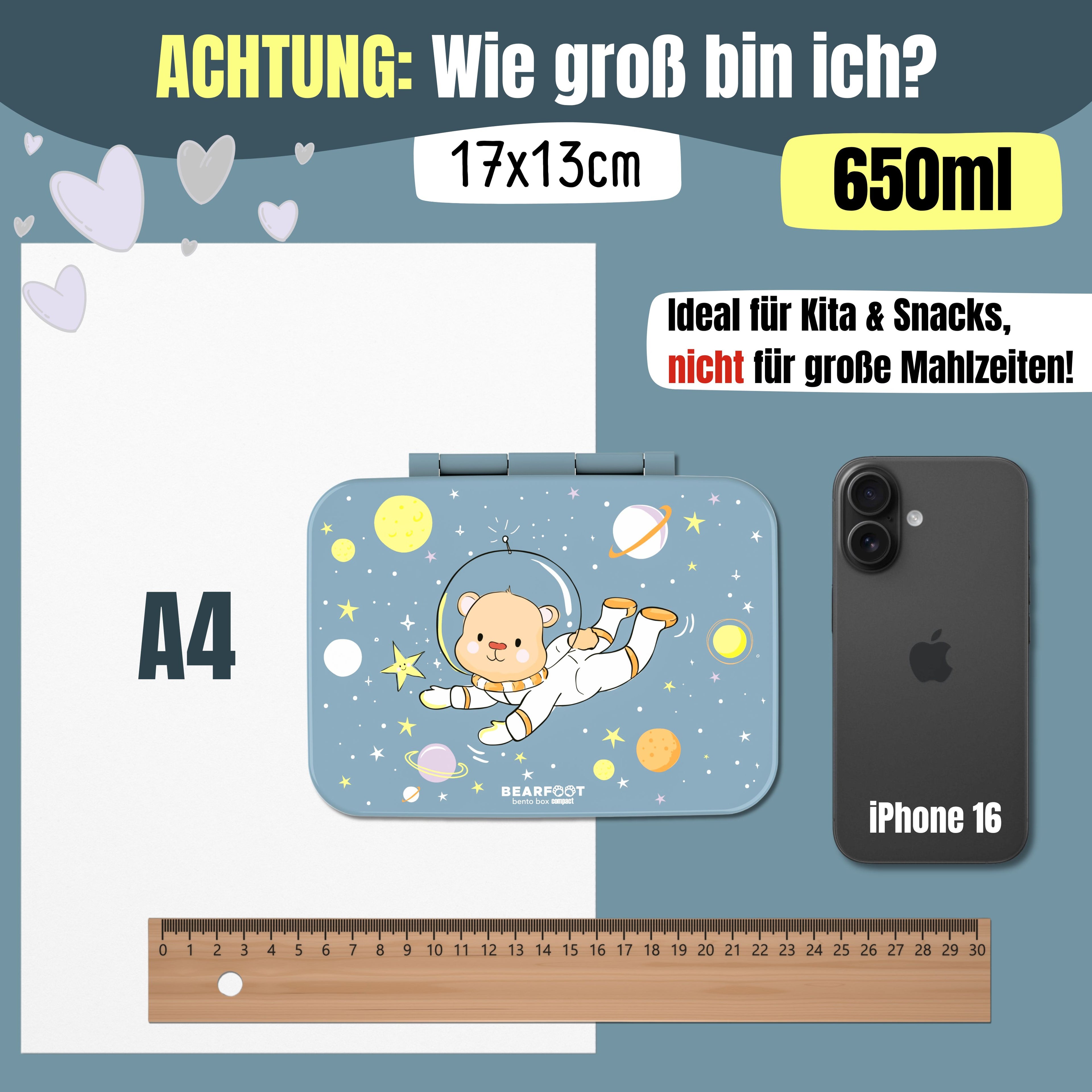 Brotdose mit Fächern, leicht & auslaufsicher - Bär blau