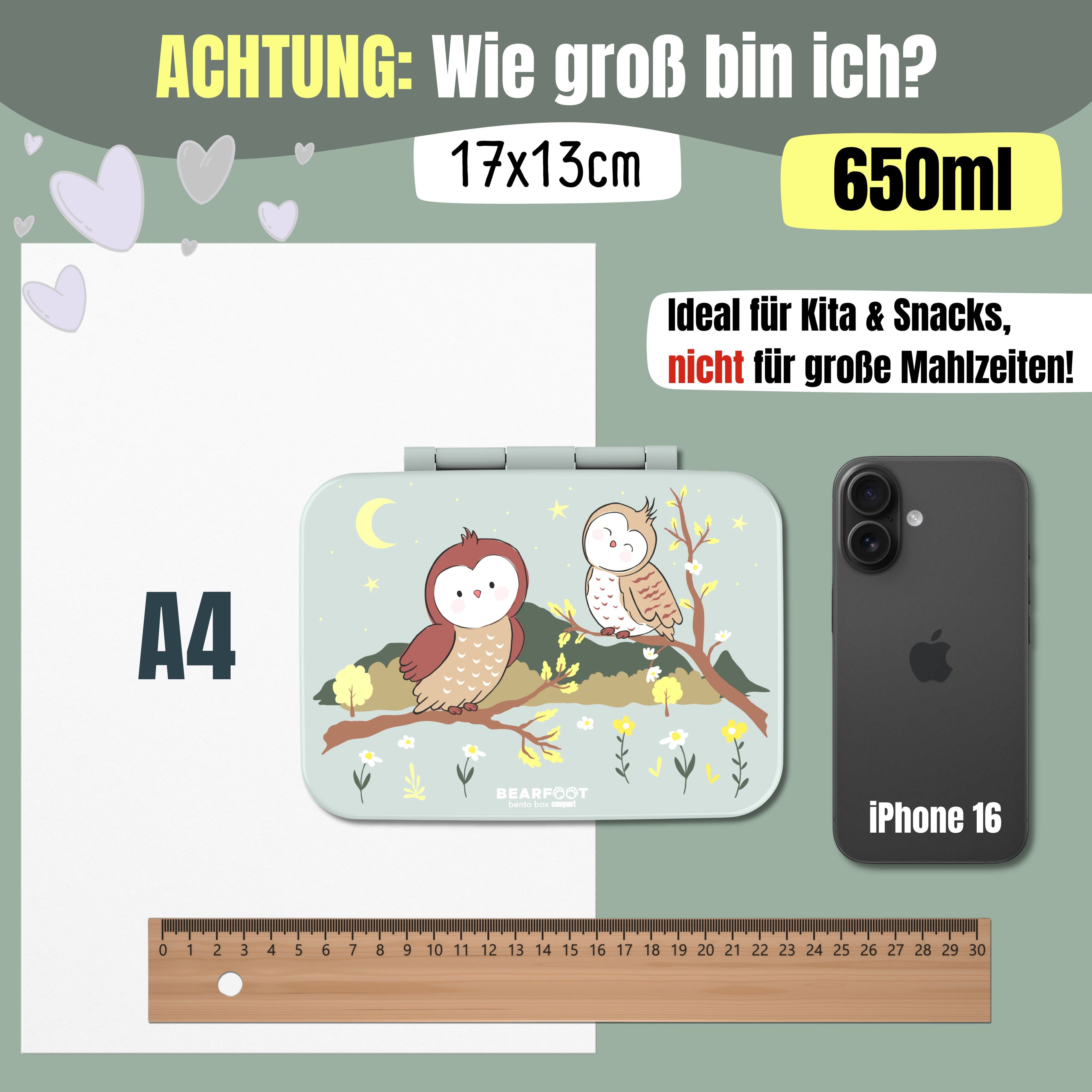 Brotdose mit Fächern, leicht & auslaufsicher -Eule Salbei